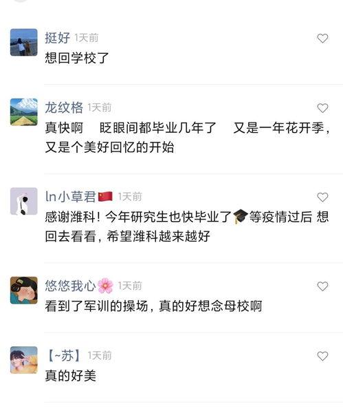 潍坊爆料最新新闻事件视频,视频揭秘XX真相  第1张