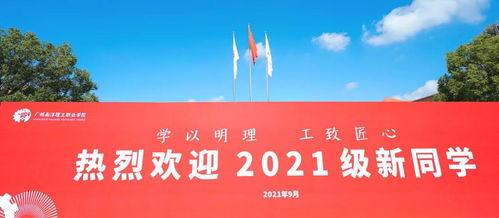 南阳理工爆料事件视频最新,真相与争议交织的校园风云